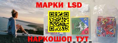 шишки Обь