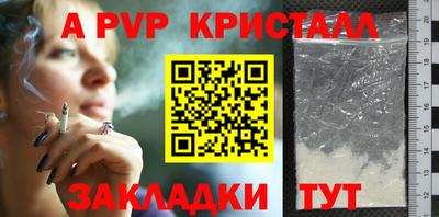 шишки Обь